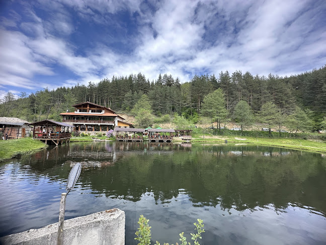 Рила фиш - Гастрономия и хотелиерство