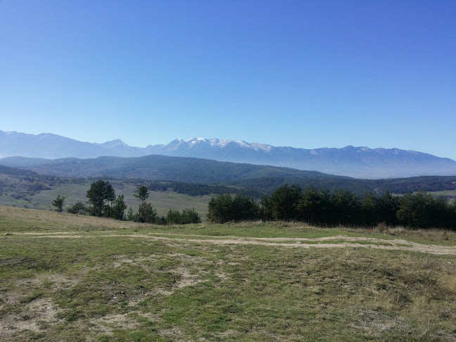 Comentarii opinii despre Bratya Ganchovi – Grill & Beef