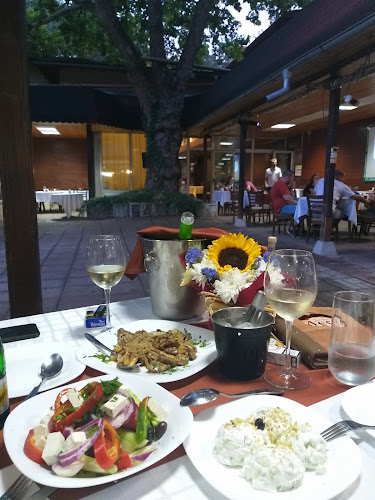 Градски, ул. „Ангел Кънчев“ 22, 7200 Разград