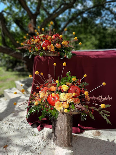 Comentarii opinii despre ЕД Кетъринг София