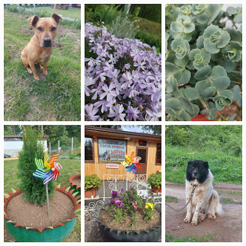 ЗАВЕДЕНИЕ ЗА БЪРЗО ХРАНЕНЕ "ДИВОТО ЗОВЕ"