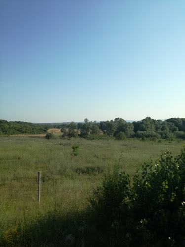 Opinii despre Закуски Фантазия în Своге - Гастрономия и хотелиерство