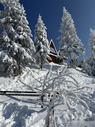 JMPH+P9, Вр. Снежанкa, 4703 Пампорово