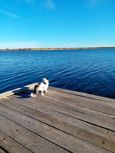 Ресторант Кибела - Гастрономия и хотелиерство