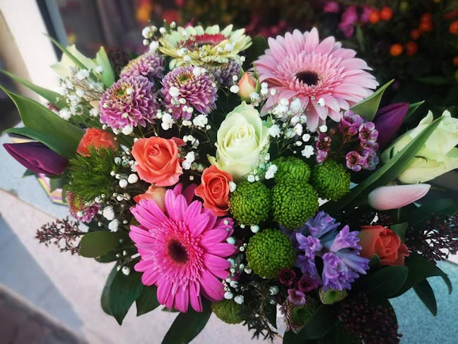 Comentarii opinii despre АВТО ГРИЛ (заведение за бързо хранене)