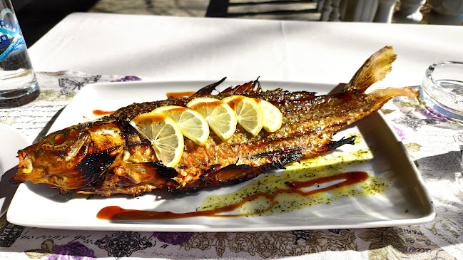 я-р, 4294 Брягово