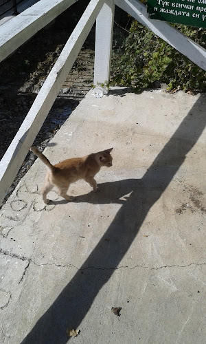 Comentarii opinii despre Вила Жордия