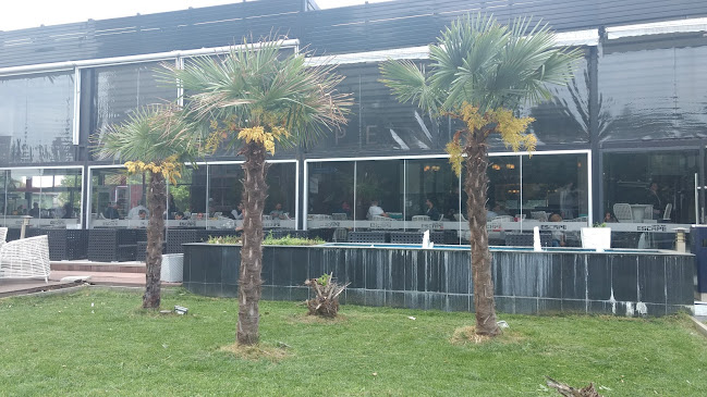 Comentarii opinii despre Ескейп