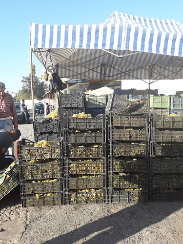 Comentarii opinii despre Зеленчукова борса