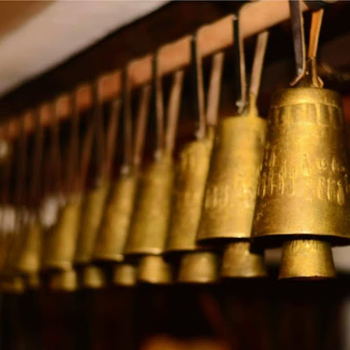 Чановете - Свищов