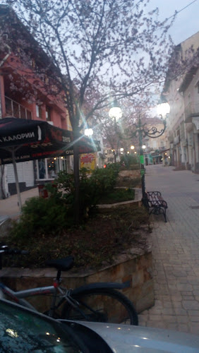 Център, 2850 Петрич