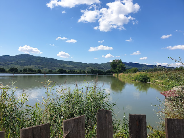 Opinii despre Ресторант Копмплекс За Спортен Риболов И Почивка МЕЛНИЦАТА în Николаево - Гастрономия и хотелиерство