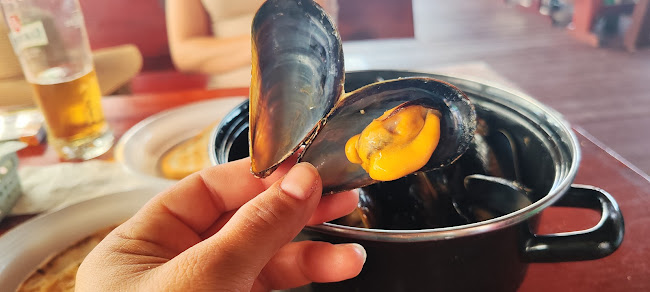 Морски кът - Долни чифлик