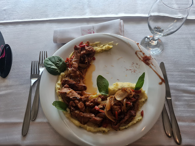 Лайла Фешън кукинг - София