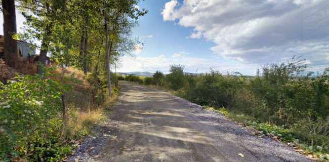 Comentarii opinii despre Язовир Михайлово