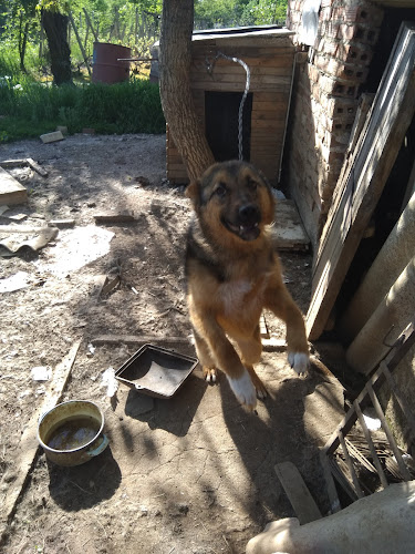 Рудината, 3000 Враца