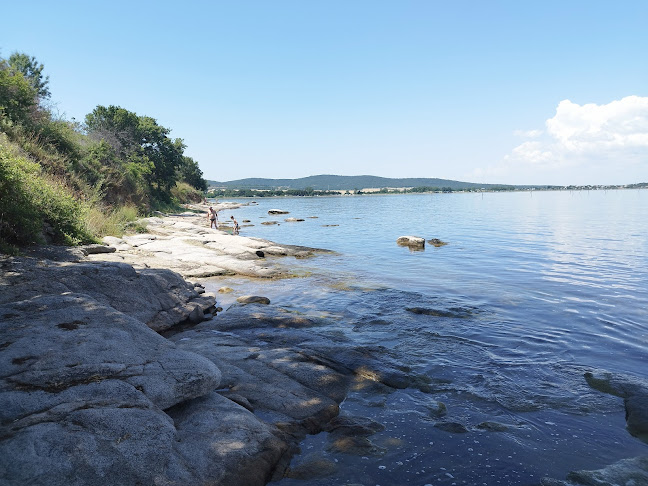 Comentarii opinii despre При Томата