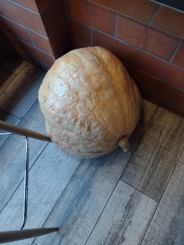 Шумен Център, ул. „Цар Освободител“ 99, 9700 Шумен