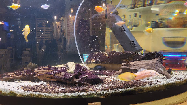 Ресторант "Пристан"