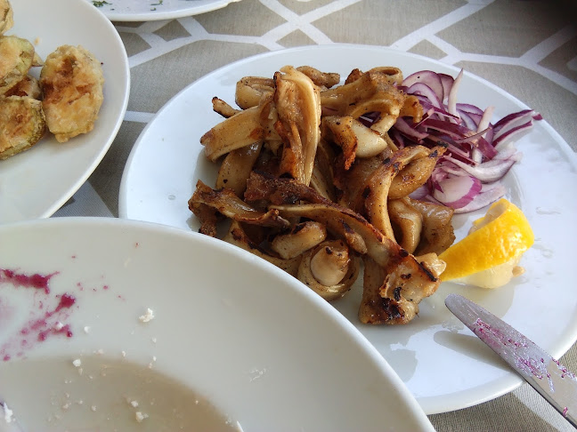 Comentarii opinii despre Central