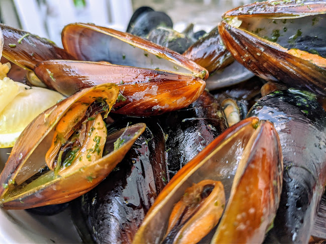 Comentarii opinii despre Комплекс „Лебед“