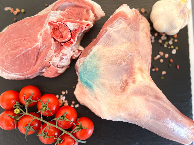 Плевен Център, бул. „Христо Ботев“ 90, 5803 Плевен