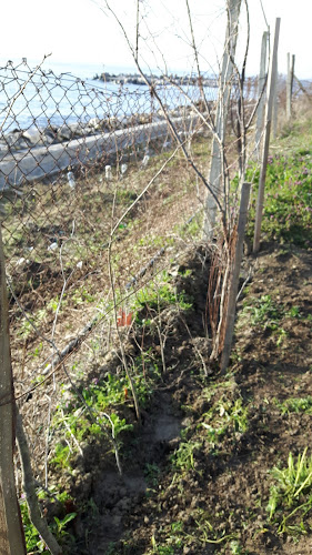 Резиденция Бонев - Гастрономия и хотелиерство