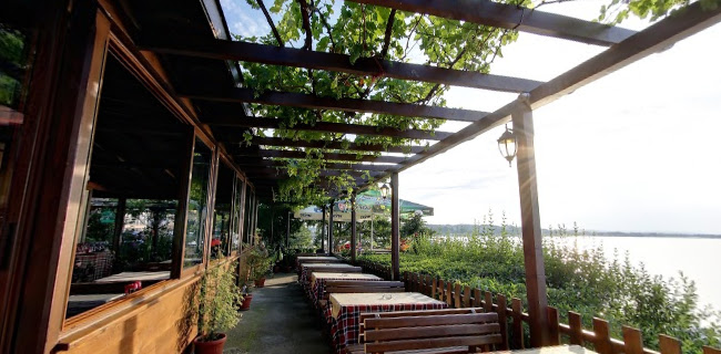 Comentarii opinii despre Капитан Немо