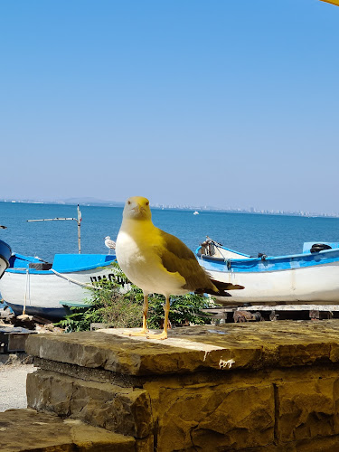 кв., кв. Стария град, ул. „А. Константмиов“ 9a, 8200 Поморие