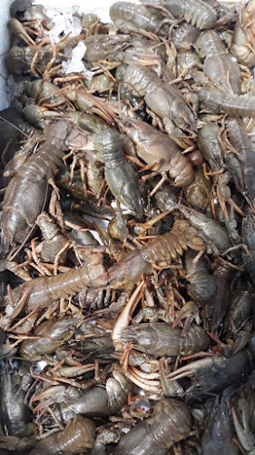 Opinii despre Созопол în София - Гастрономия и хотелиерство