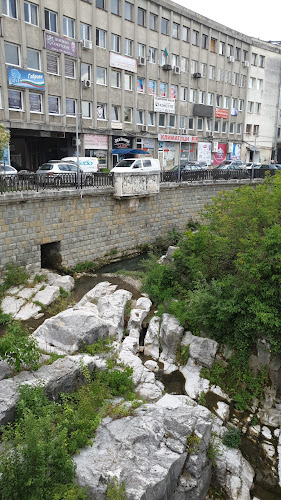 Opinii despre Механа "Рачо Ковача" în Габрово - Гастрономия и хотелиерство