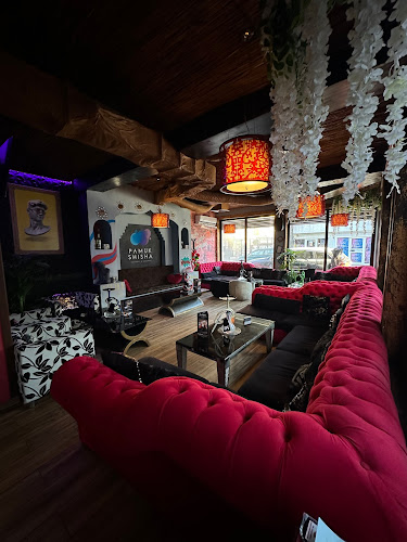 Comentarii opinii despre Pamuk Shisha