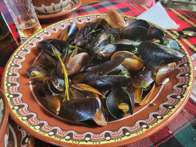 Comentarii opinii despre Хаджи Николов Хан