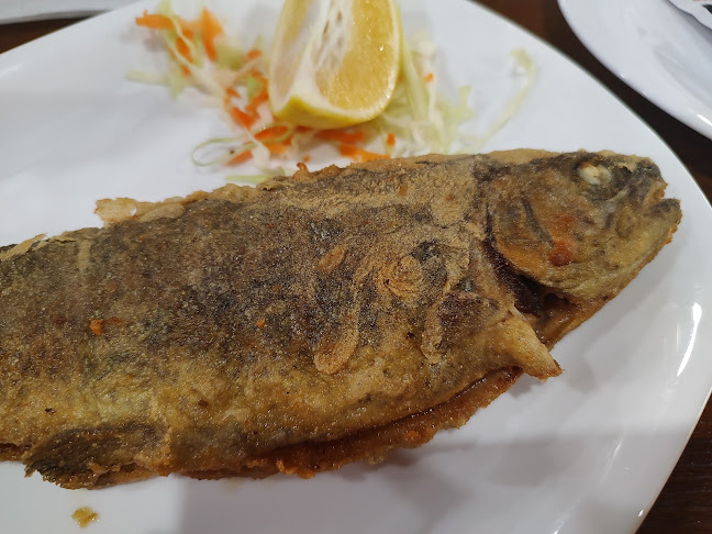 Райски кът "Християна" - Белица