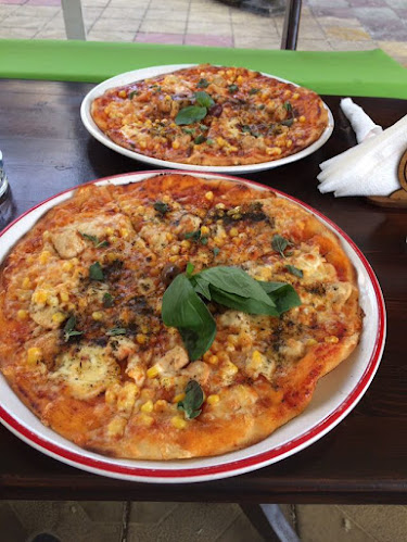 Comentarii opinii despre GREEN Color 4 КРАЙ РЕКАТА