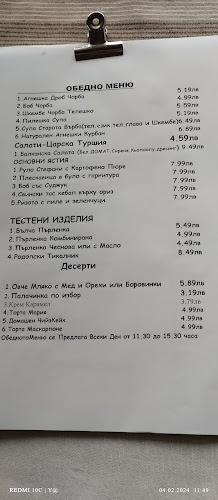 Старата Върба - Девин