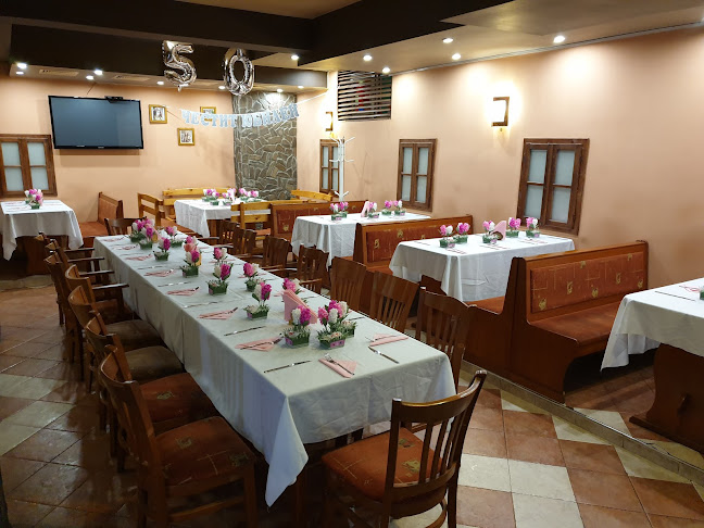 Фаворит Плевен - Плевен