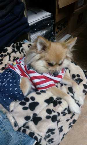 ж.к. Красна поляна 1, бул. „Вардар“ 11А, 1330 София