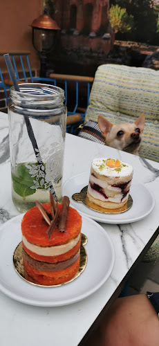 Comentarii opinii despre Fish & Grill La Playa