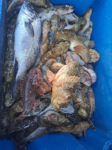 Am Gul food & beverage | Ресторант Черноморец | Морска храна - Черноморец