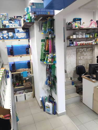 Габрово Център, ул. „Отец Паисий“ 15, 5300 Габрово