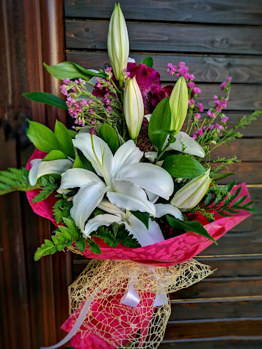 ул. „Търговска“ 151, 2040 Долна баня