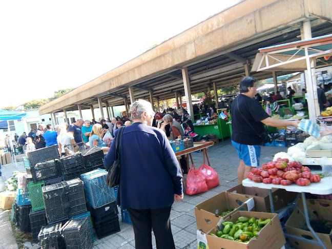 Comentarii opinii despre Велешана