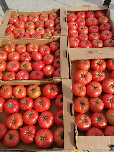 Comentarii opinii despre Зеленчукова Борса Огняново