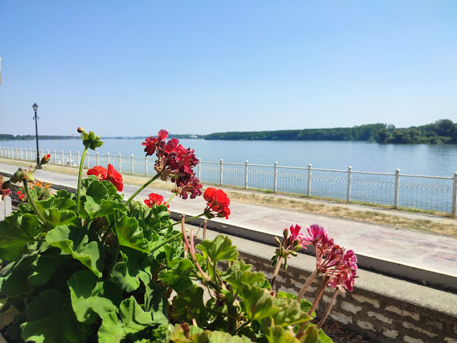 Бистро "Парадайз" - Видин