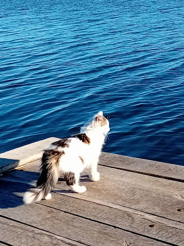 Местност Стари лозя Дуранкулашко езеро, 9670 Дуранкулак