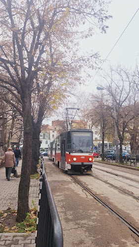 Opinii despre Mi Casa în София - Гастрономия и хотелиерство