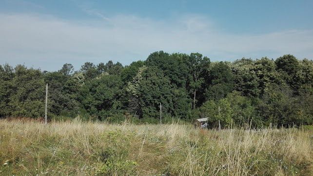 Comentarii opinii despre Ханчето на Любен