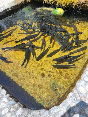 Механа Орела - Гастрономия и хотелиерство