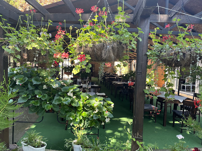 Район Западен, ул. „Тодор Балина“ 16, 5000 Велико Търново